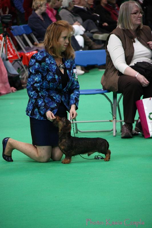 Crufts2011_2 945.jpg